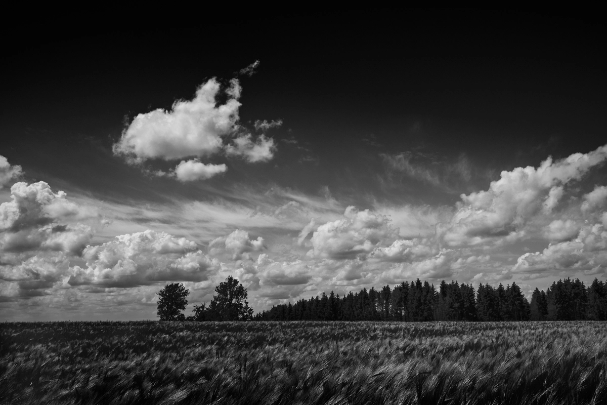 TEGG – Bild »Landschaft« aus Bilderserie »Streifzüge«