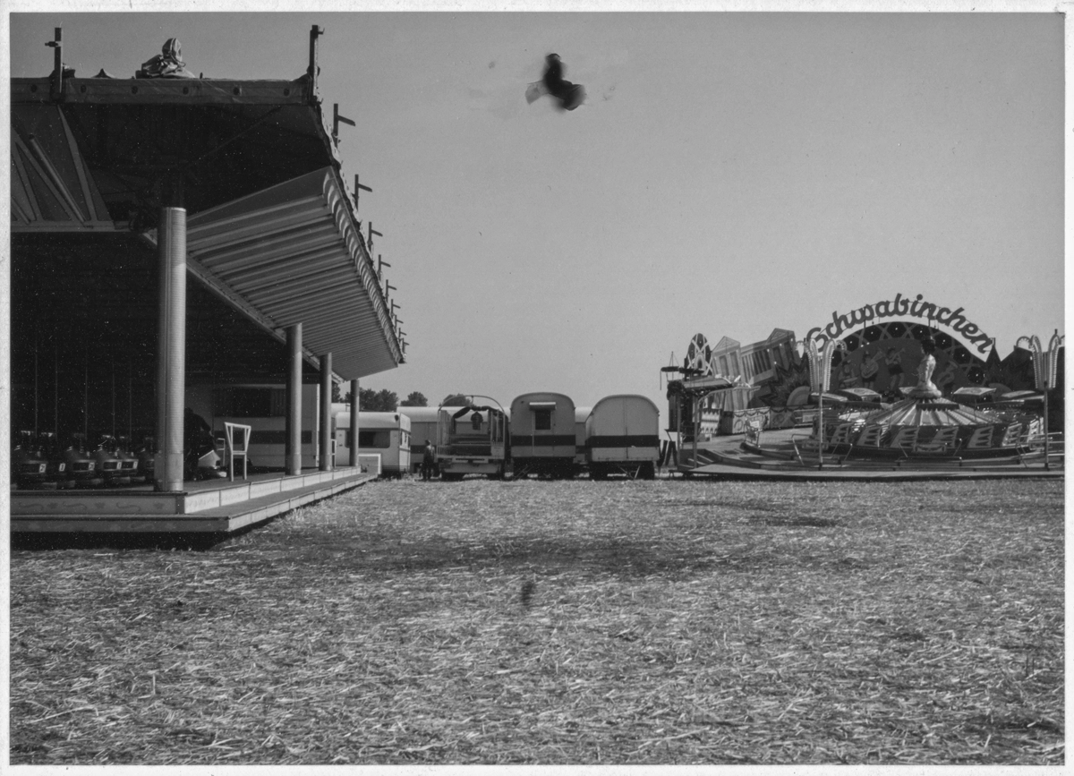 TEGG – Bild »Taube« aus Bilderserie »Frühe Arbeiten – Sammelsurium«